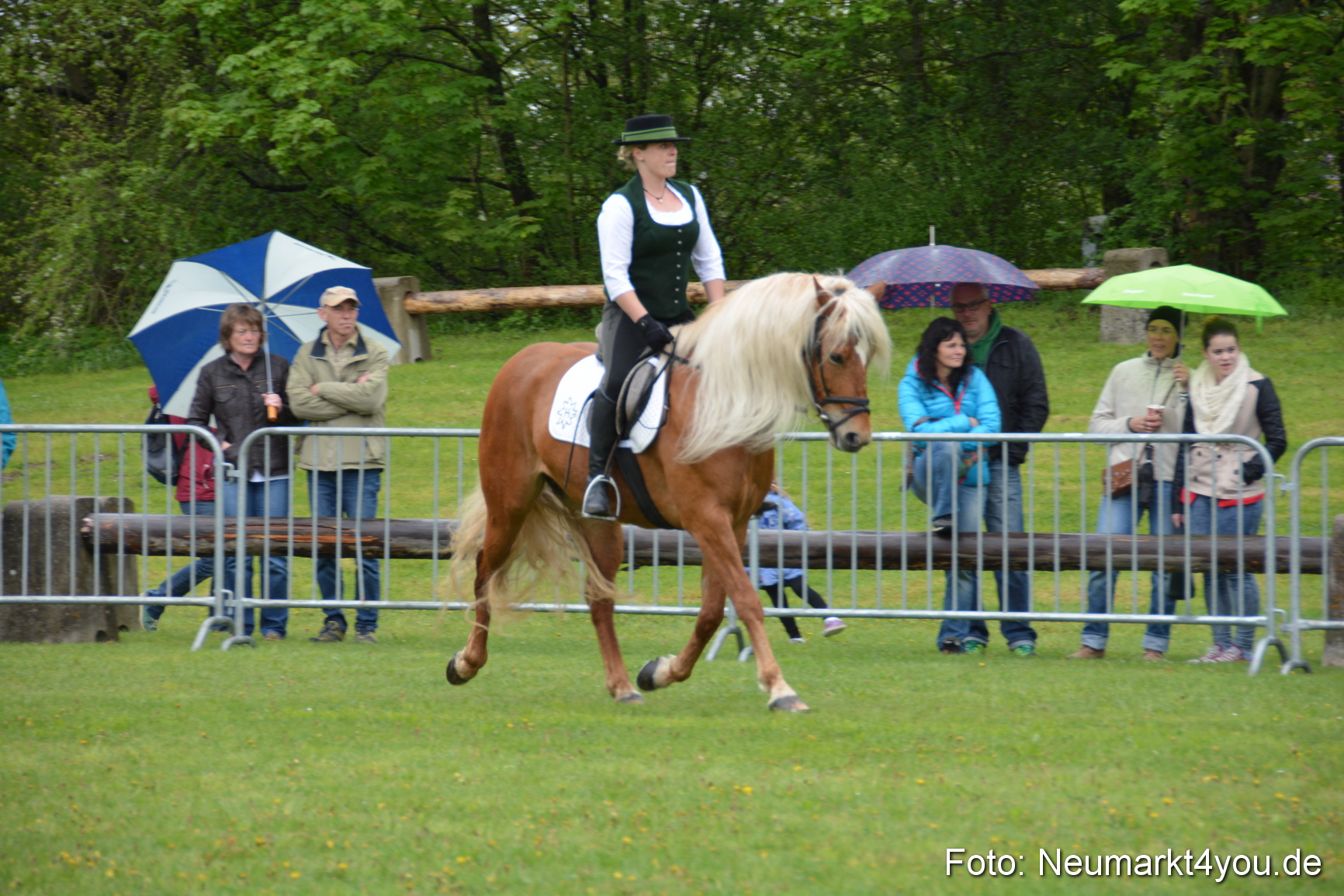 Haflingertreffen Fruehlingsfest 010515 0047