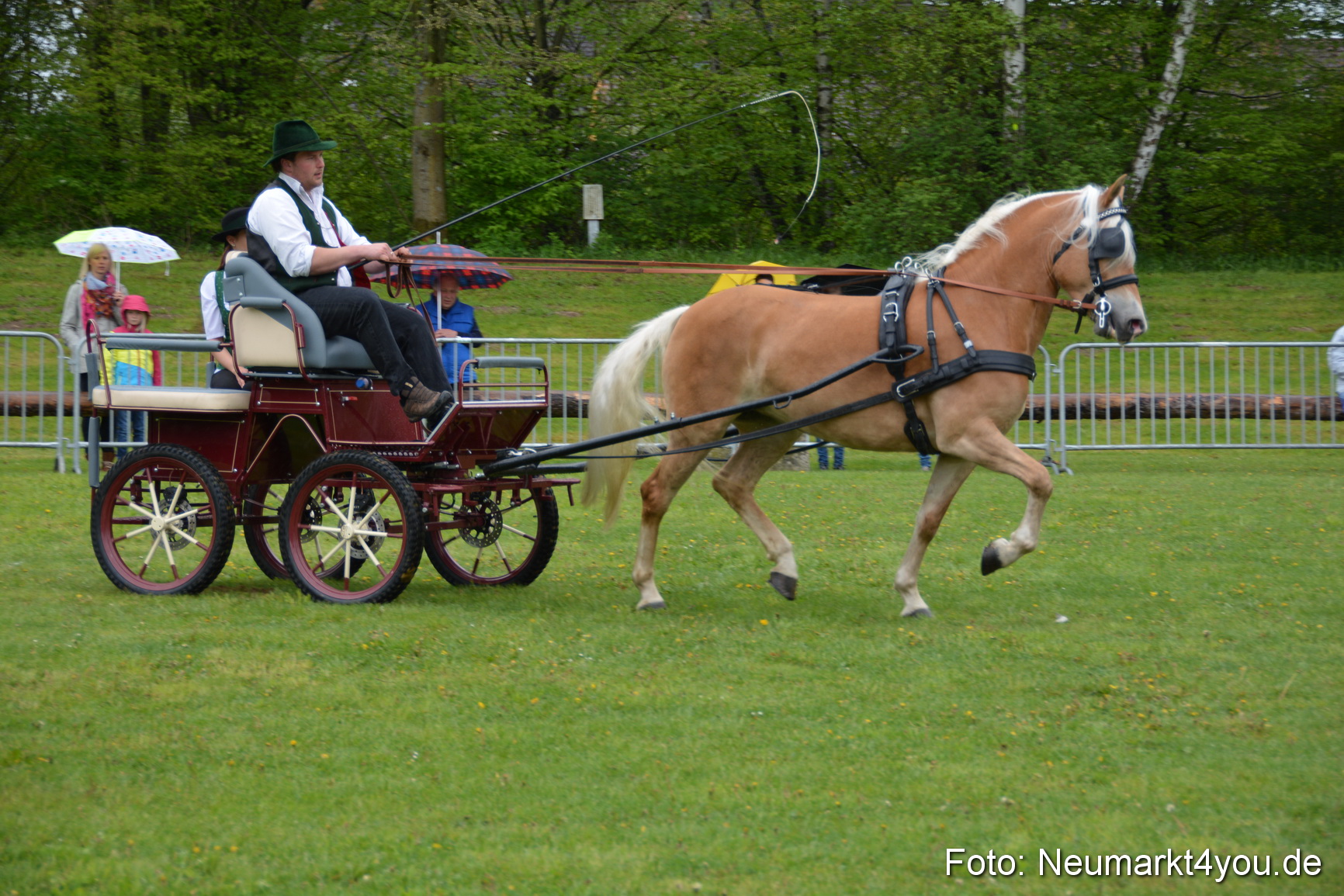 Haflingertreffen Fruehlingsfest 010515 0051