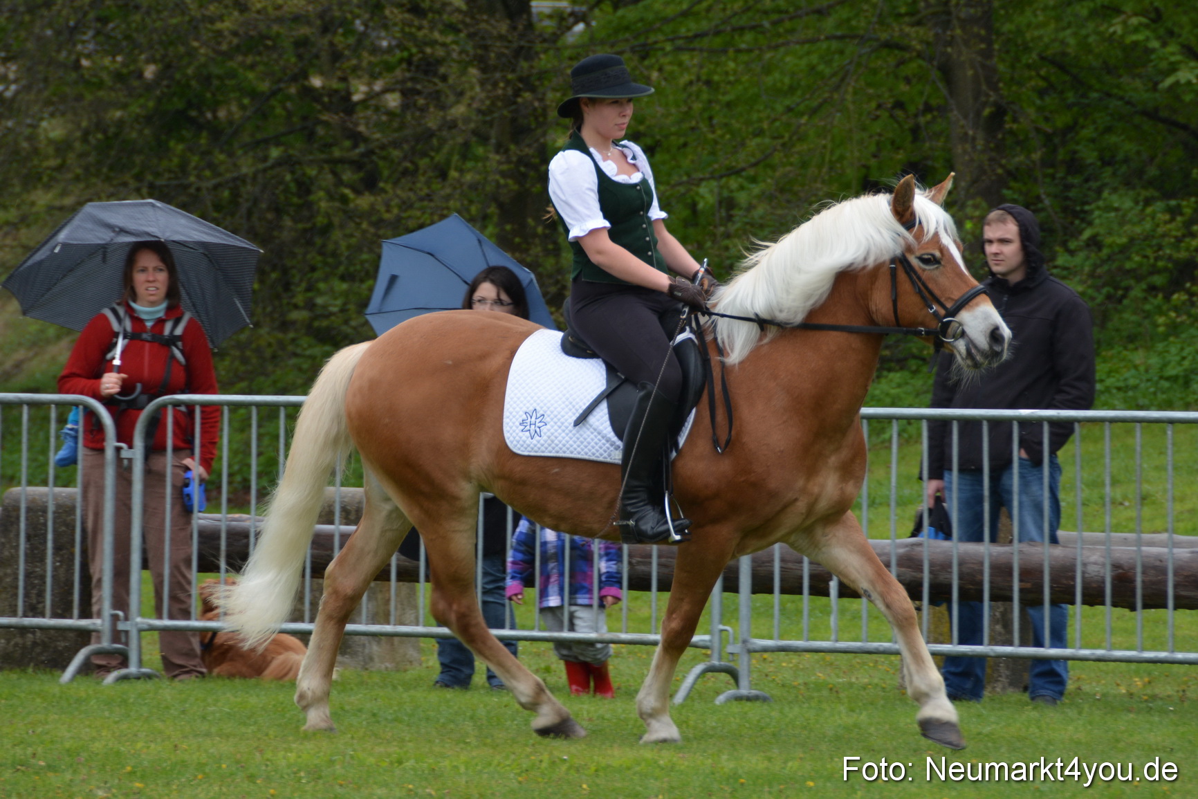 Haflingertreffen Fruehlingsfest 010515 0053