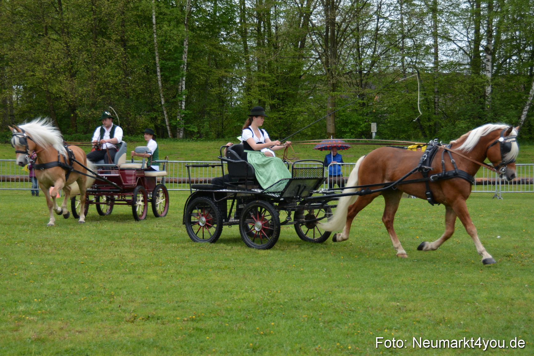 Haflingertreffen Fruehlingsfest 010515 0054