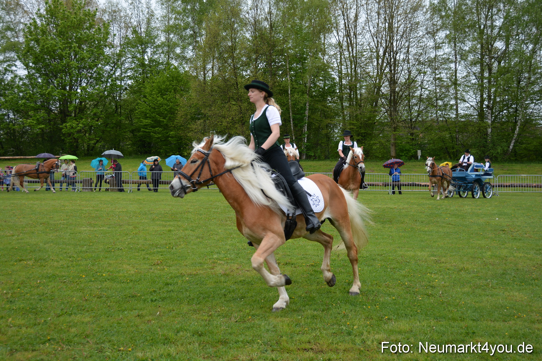 Haflingertreffen Fruehlingsfest 010515 0057