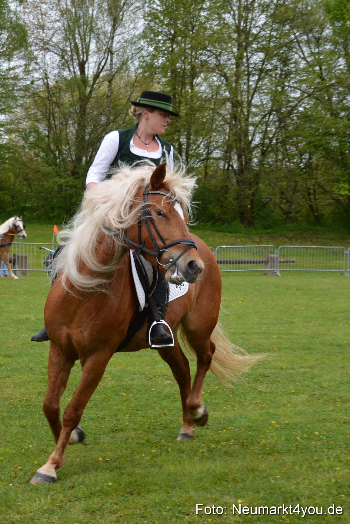 Haflingertreffen Fruehlingsfest 010515 0059