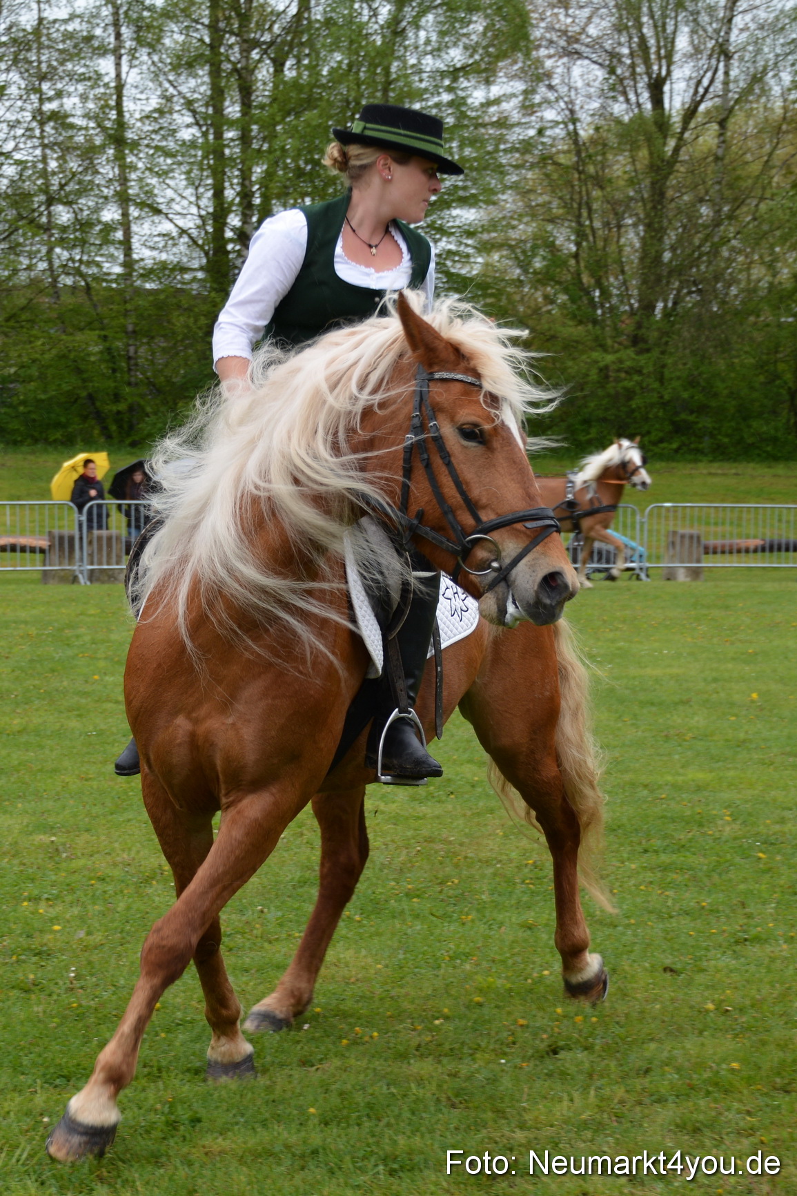 Haflingertreffen Fruehlingsfest 010515 0060