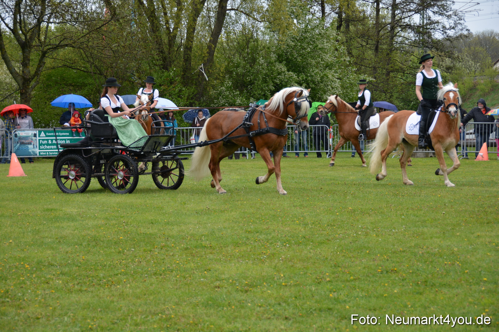 Haflingertreffen Fruehlingsfest 010515 0061