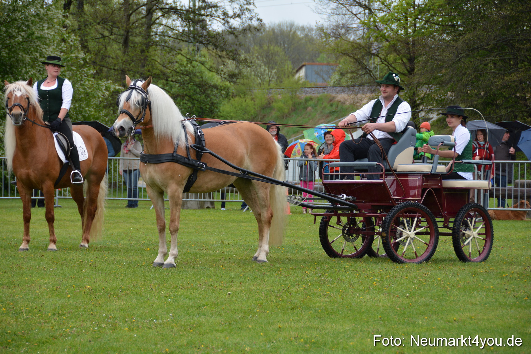 Haflingertreffen Fruehlingsfest 010515 0065