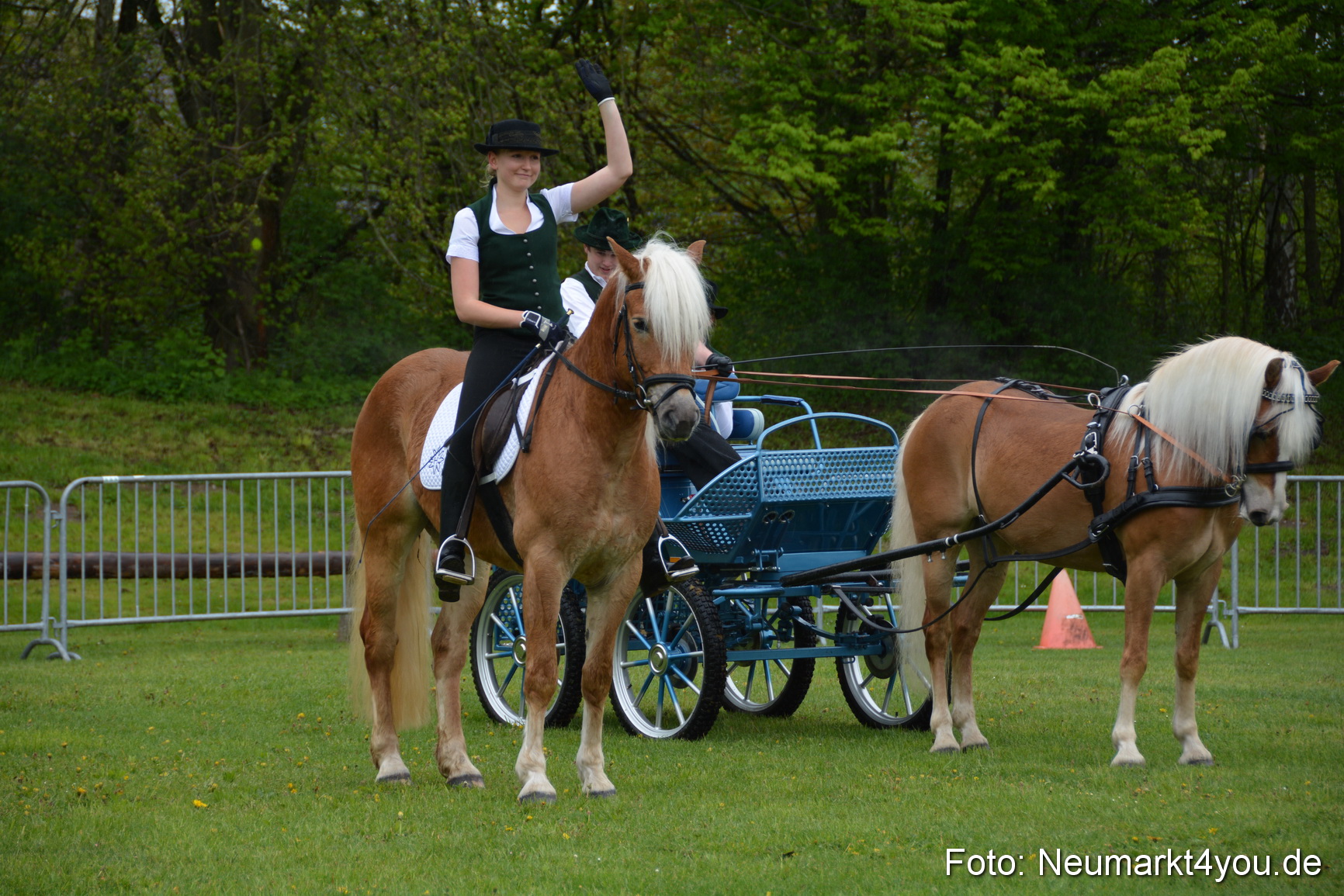 Haflingertreffen Fruehlingsfest 010515 0067