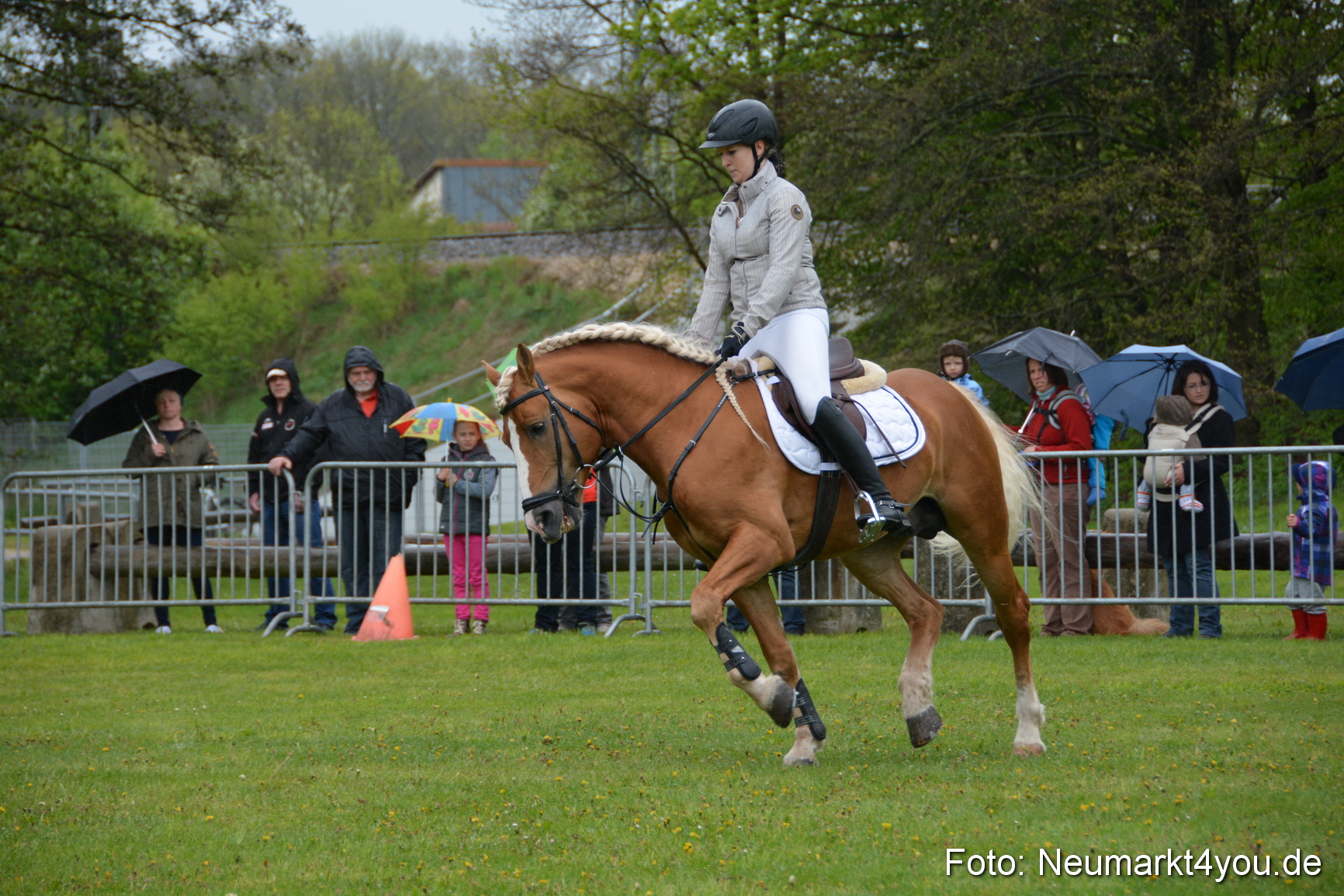 Haflingertreffen Fruehlingsfest 010515 0073