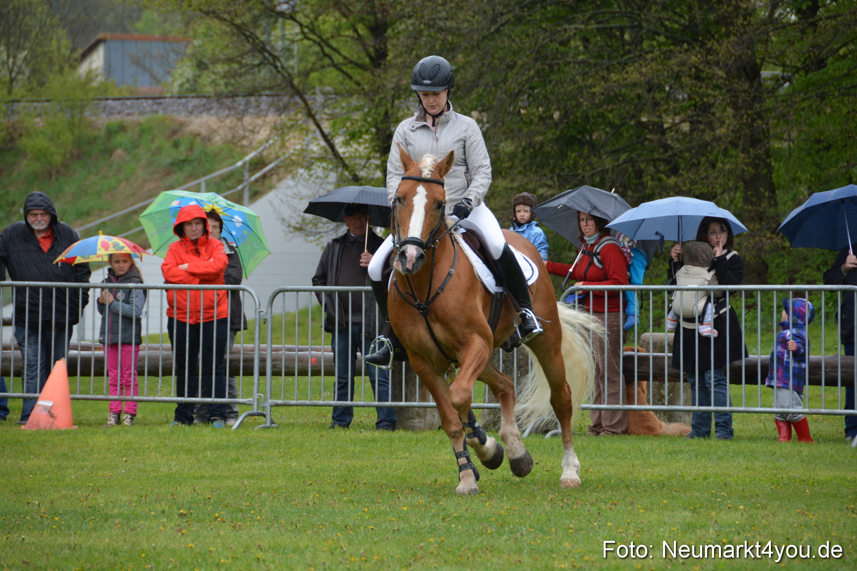 Haflingertreffen Fruehlingsfest 010515 0074