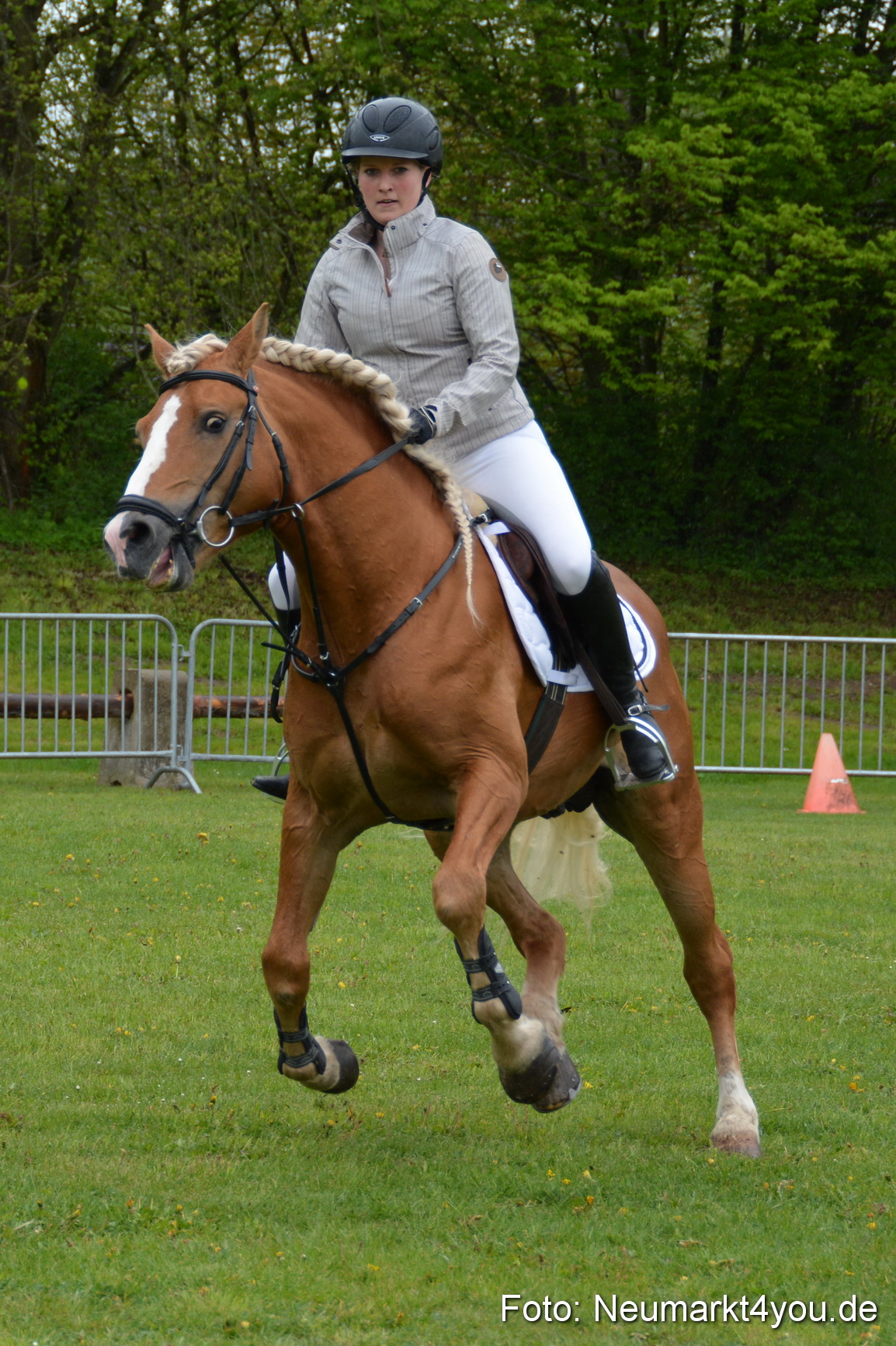 Haflingertreffen Fruehlingsfest 010515 0078