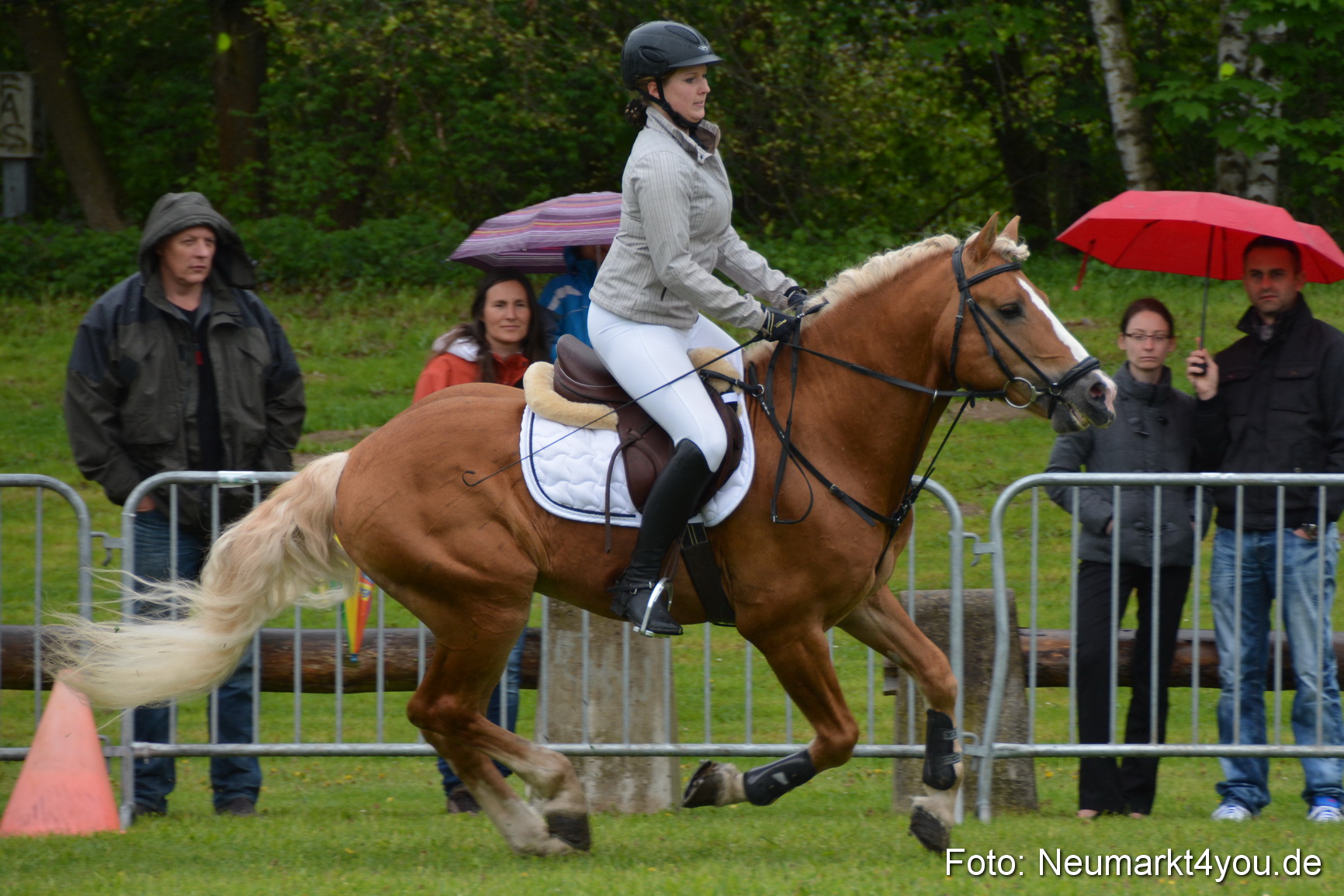 Haflingertreffen Fruehlingsfest 010515 0080