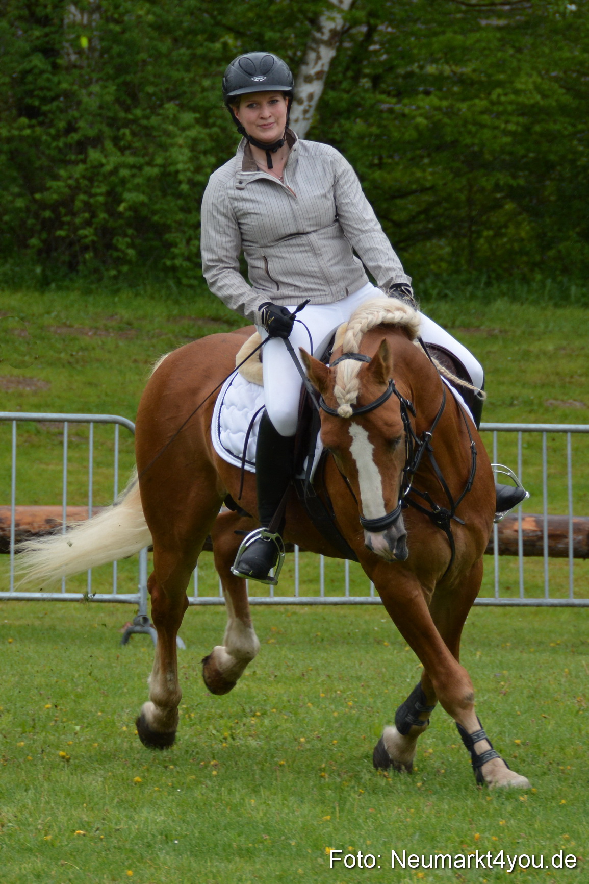 Haflingertreffen Fruehlingsfest 010515 0081