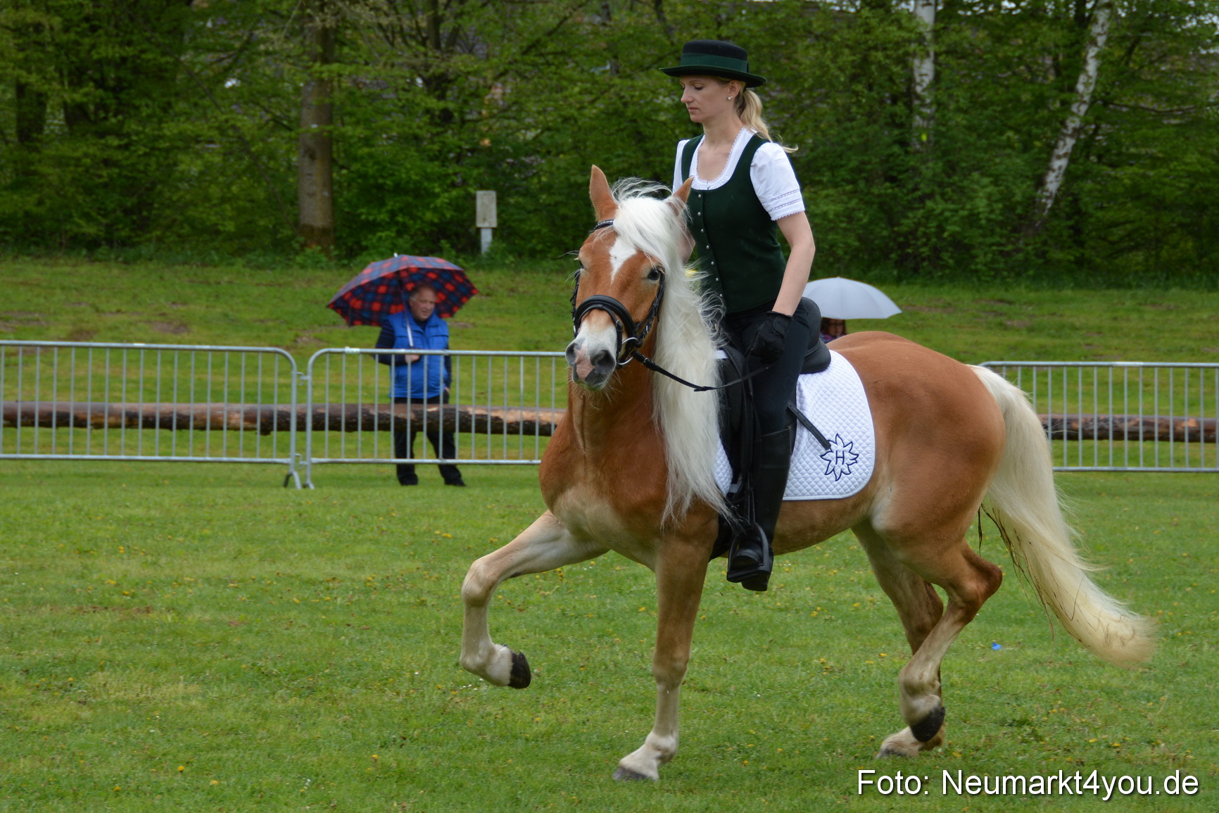 Haflingertreffen Fruehlingsfest 010515 0108