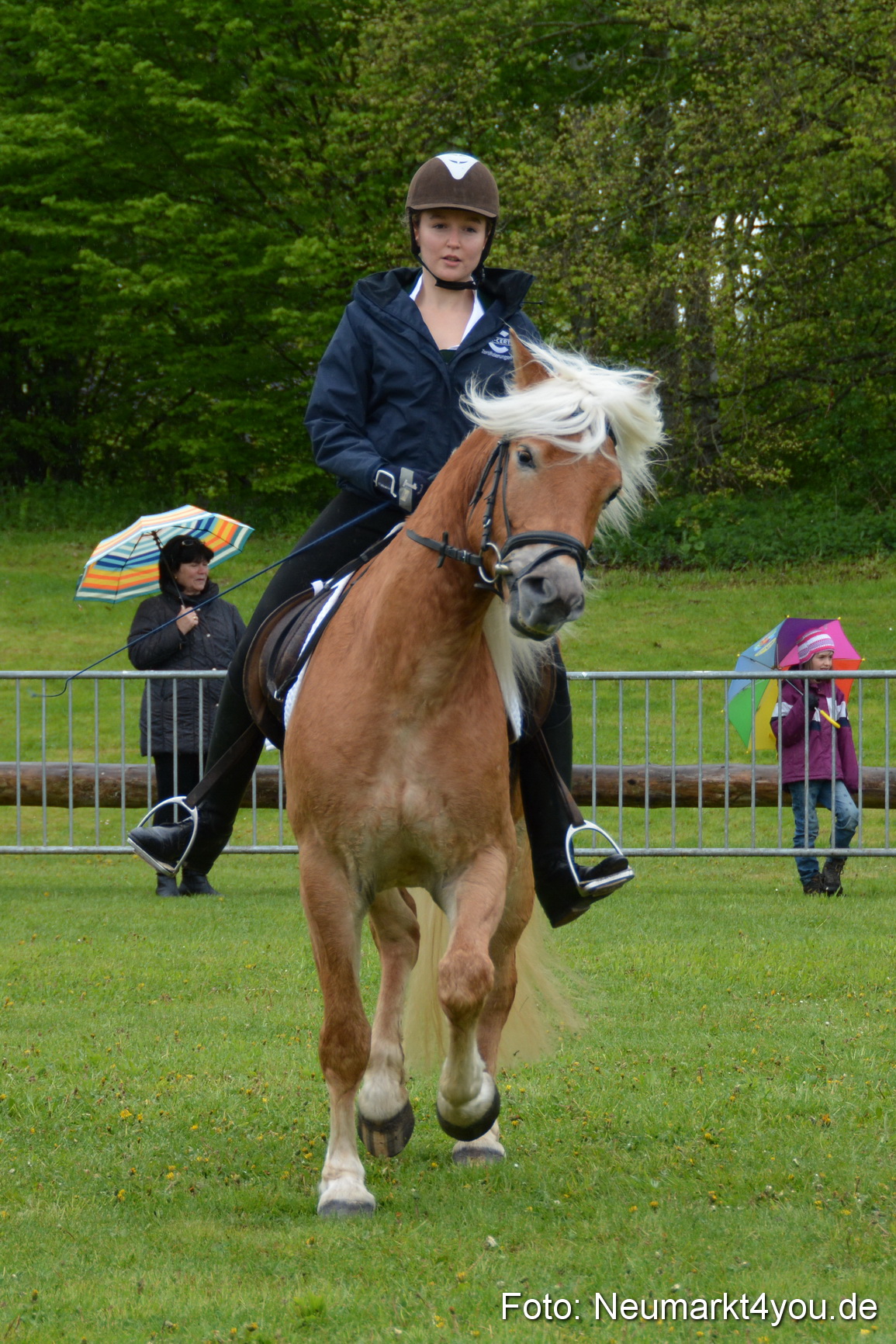 Haflingertreffen Fruehlingsfest 010515 0109