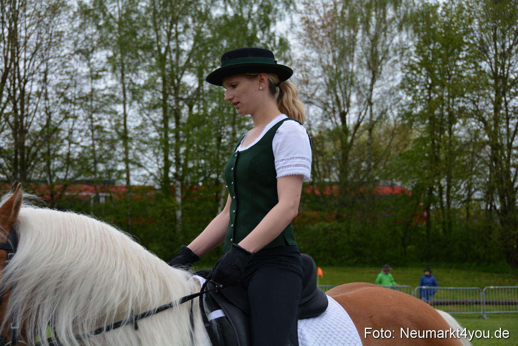 Haflingertreffen Fruehlingsfest 010515 0110