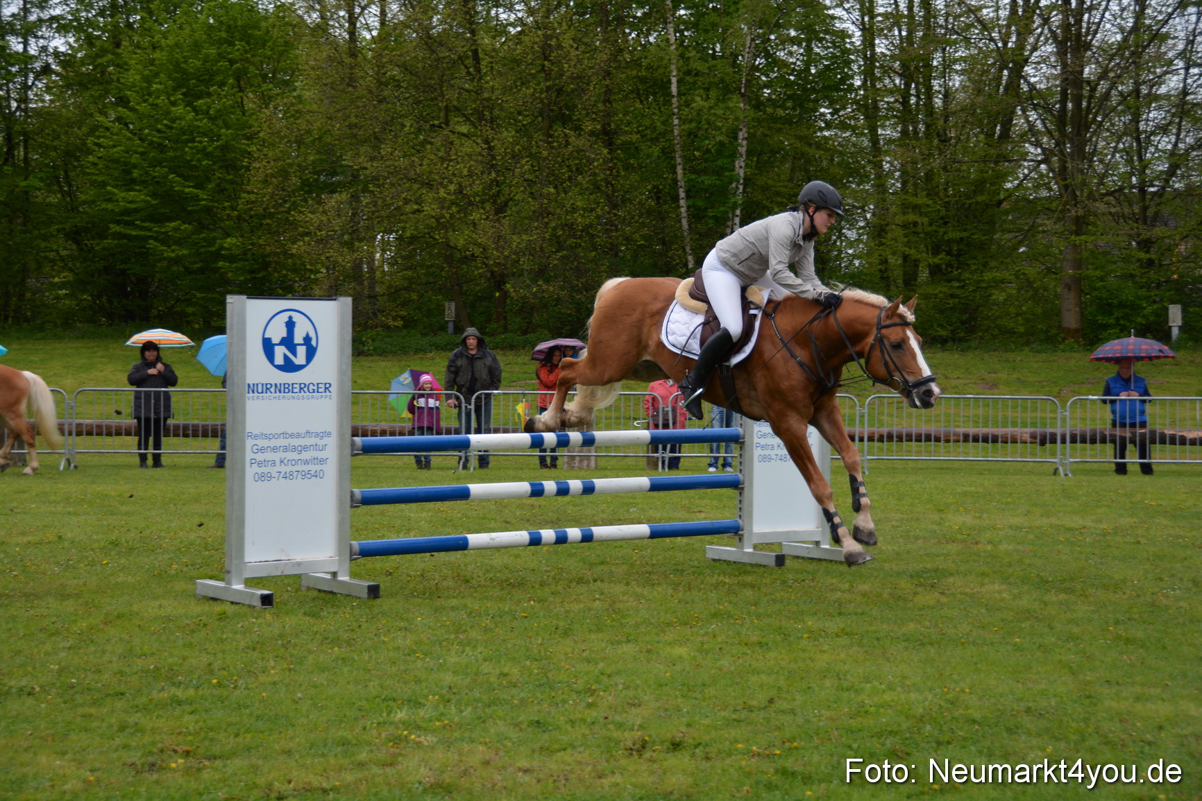 Haflingertreffen Fruehlingsfest 010515 0115