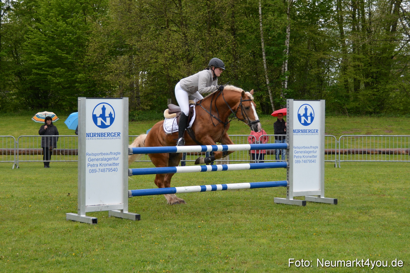 Haflingertreffen Fruehlingsfest 010515 0116