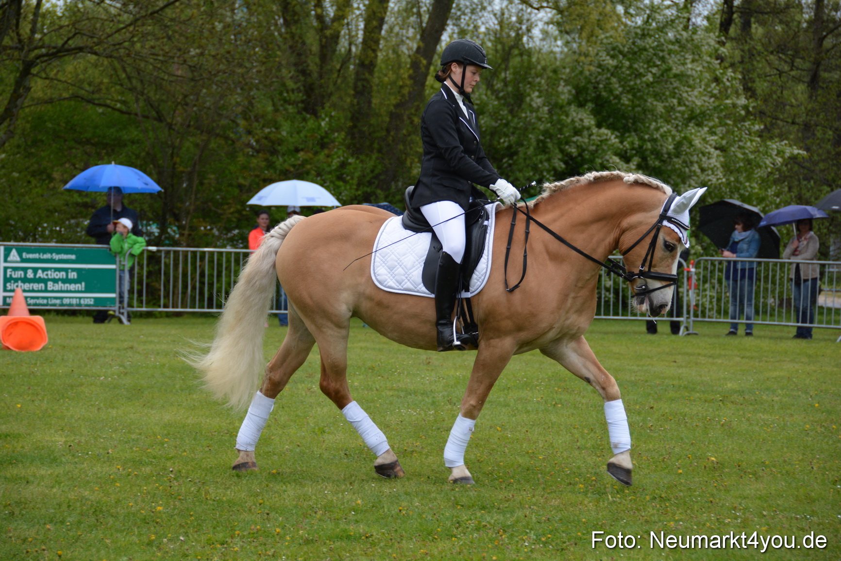 Haflingertreffen Fruehlingsfest 010515 0123