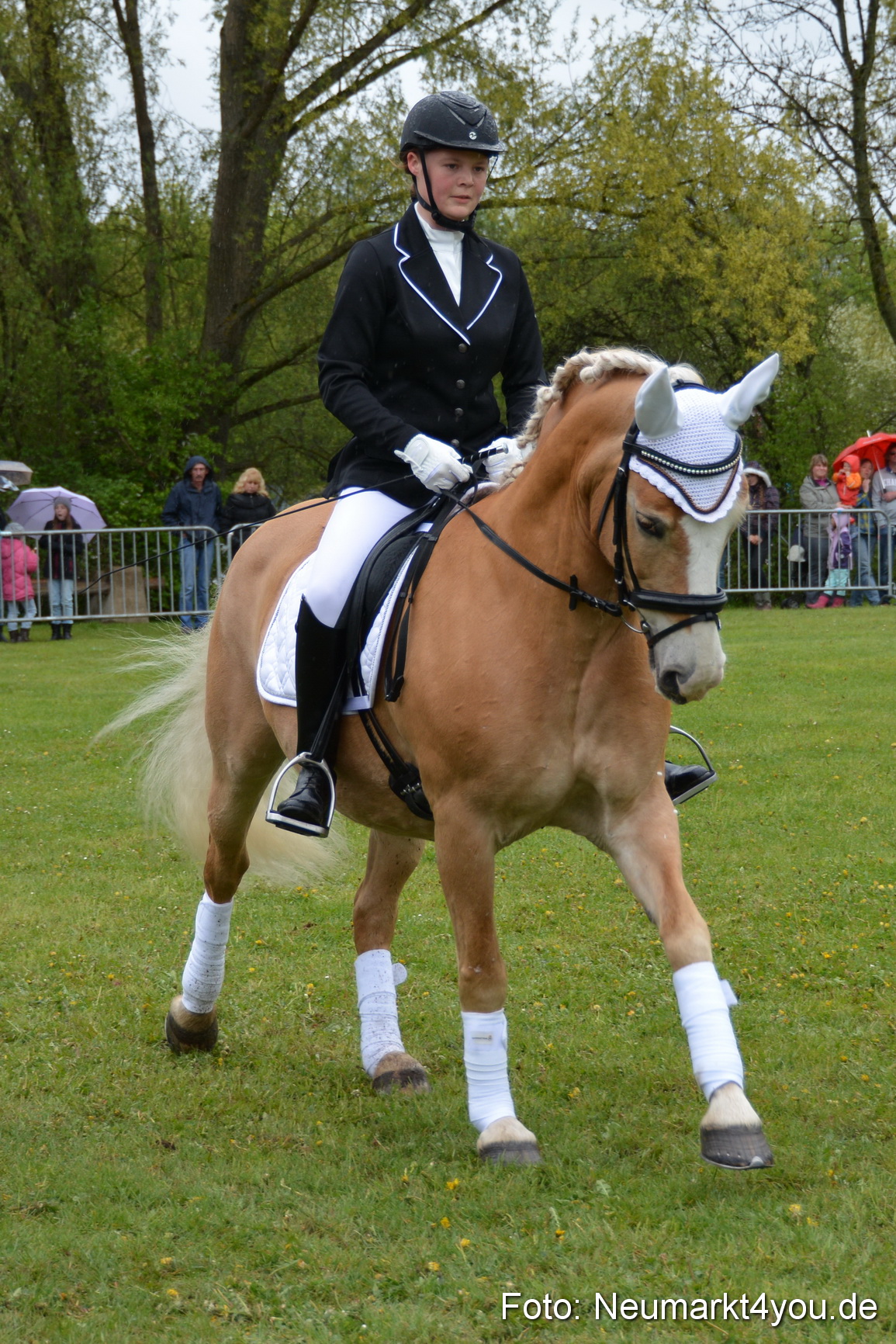 Haflingertreffen Fruehlingsfest 010515 0125