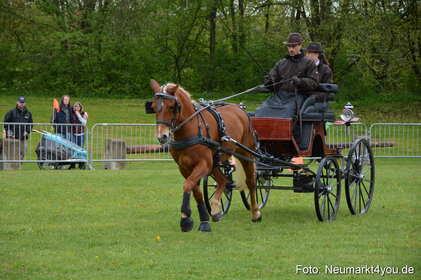 Haflingertreffen Fruehlingsfest 010515 0127