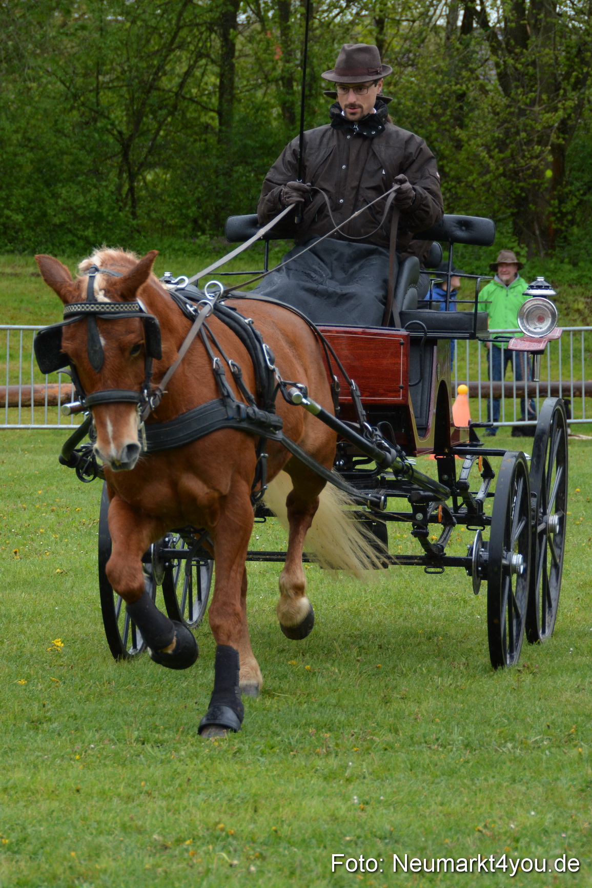 Haflingertreffen Fruehlingsfest 010515 0128