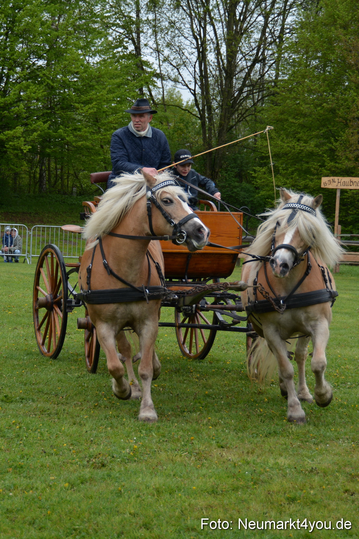 Haflingertreffen Fruehlingsfest 010515 0130