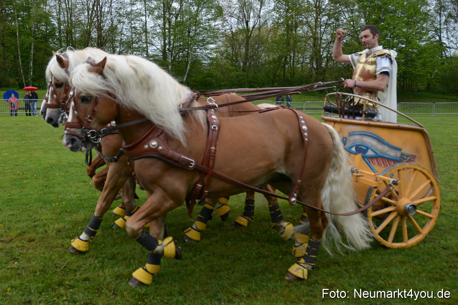 Haflingertreffen Fruehlingsfest 010515 0143