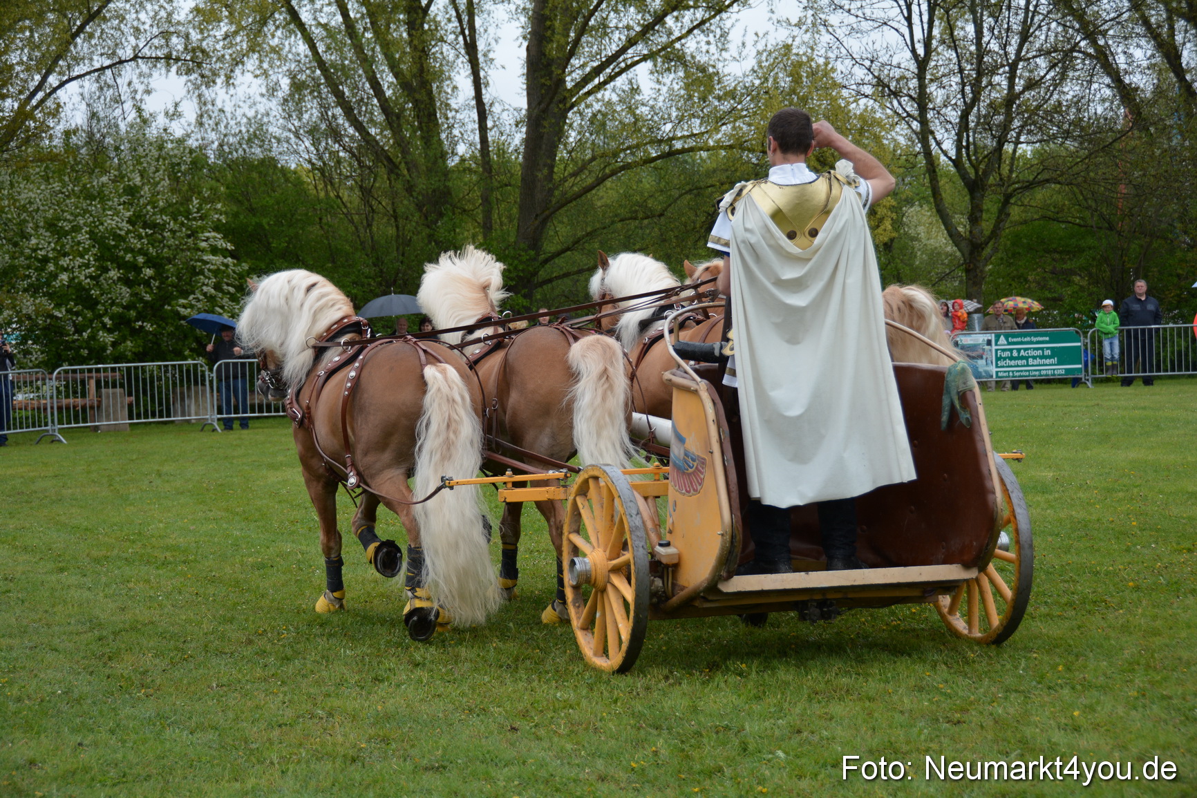 Haflingertreffen Fruehlingsfest 010515 0144