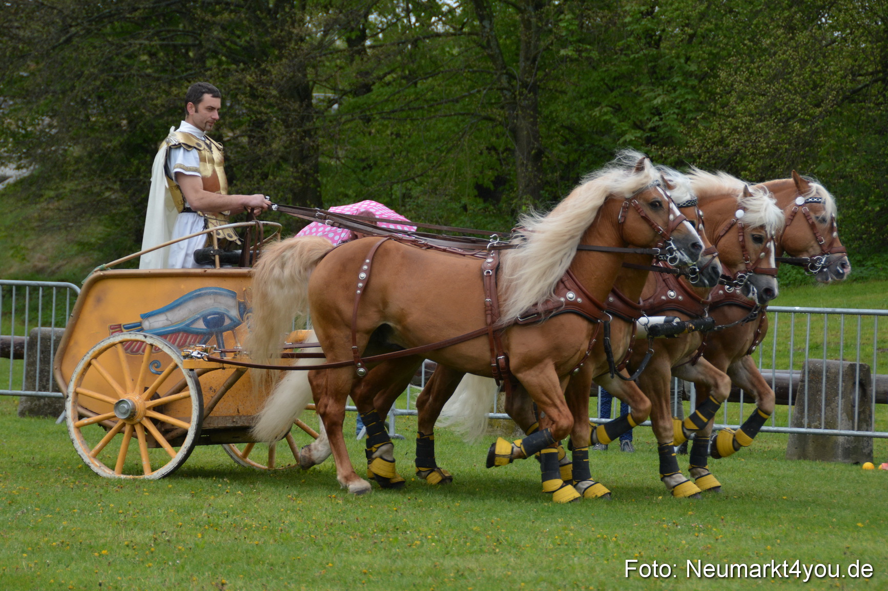 Haflingertreffen Fruehlingsfest 010515 0145