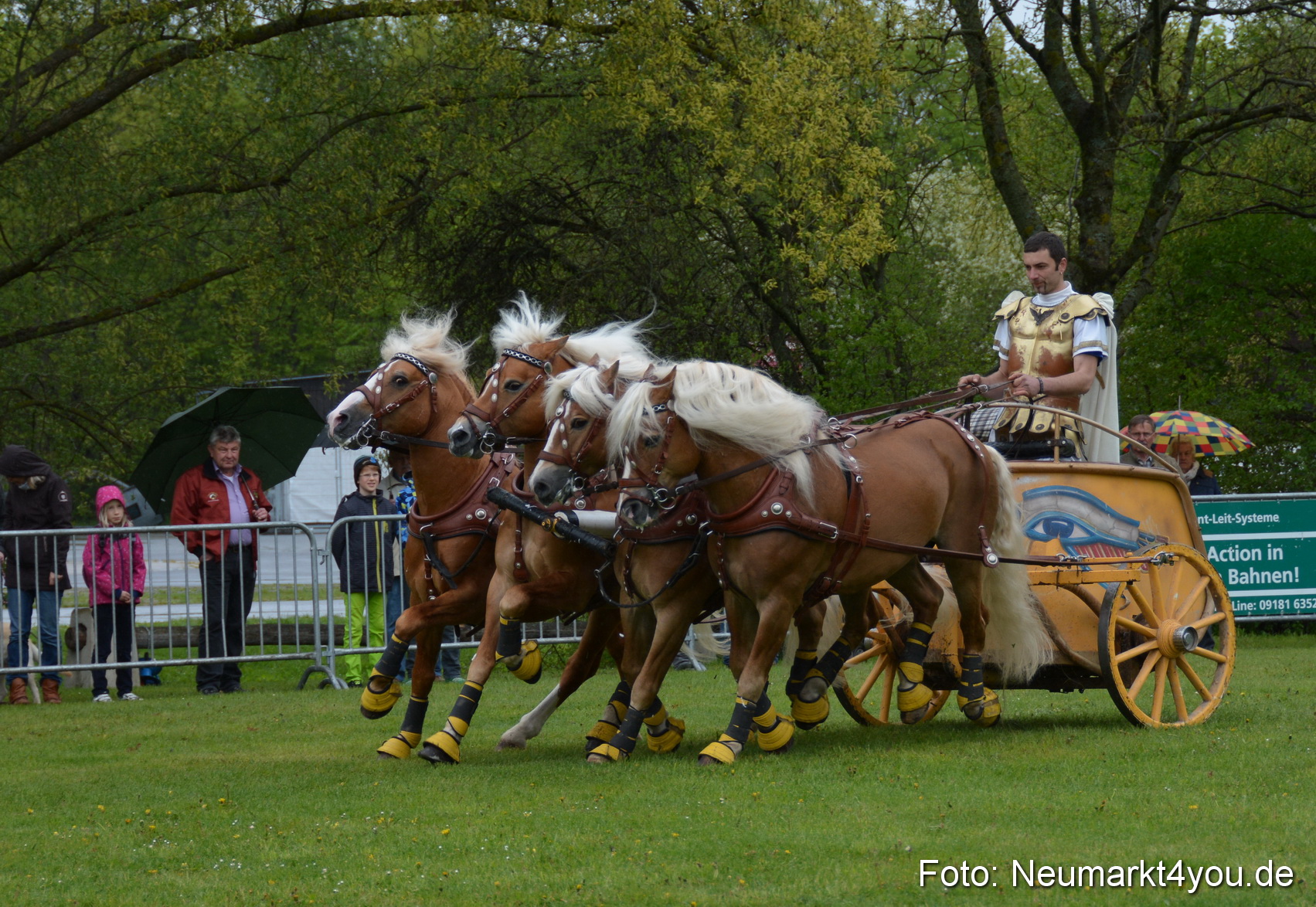 Haflingertreffen Fruehlingsfest 010515 0153