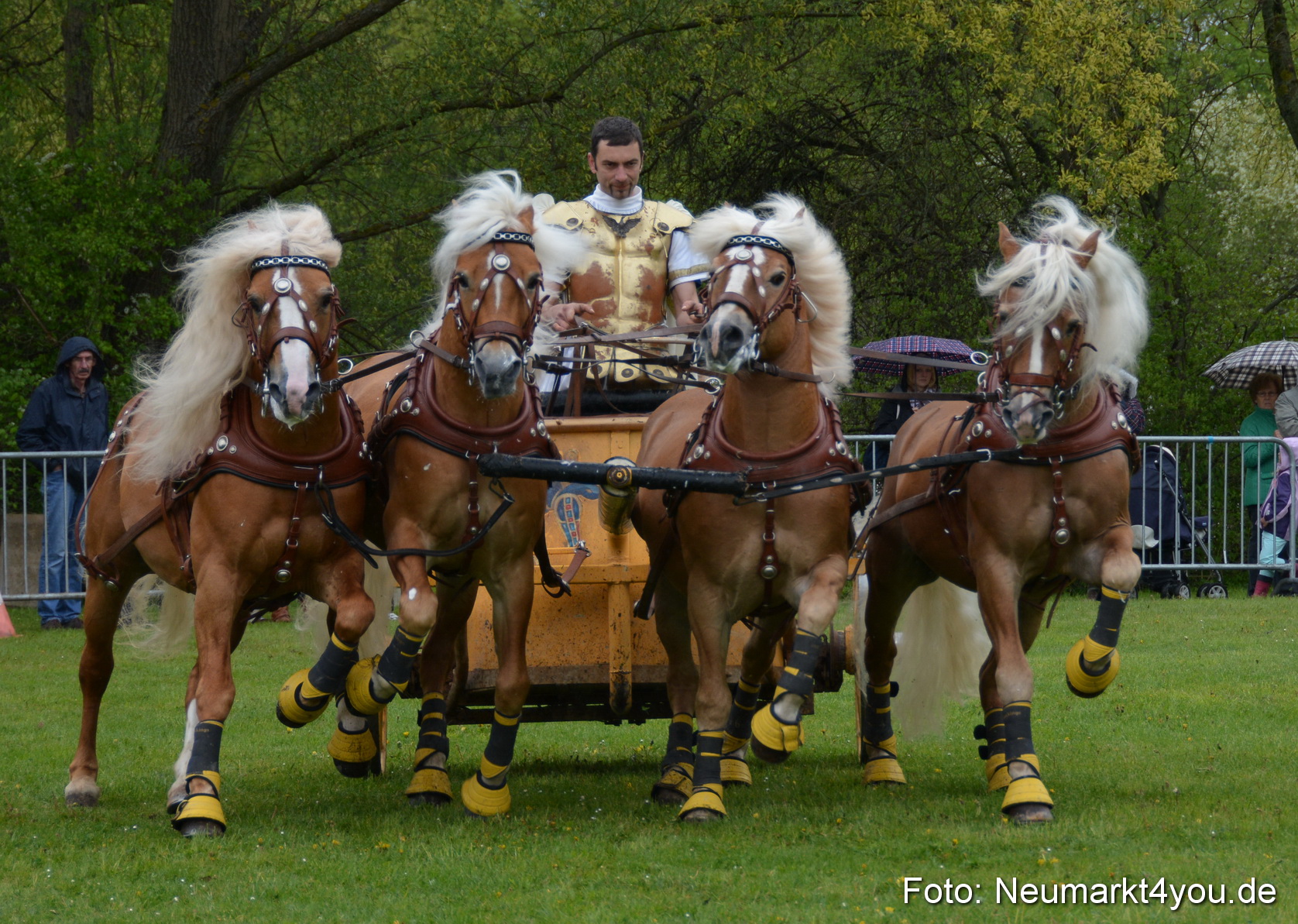 Haflingertreffen Fruehlingsfest 010515 0155