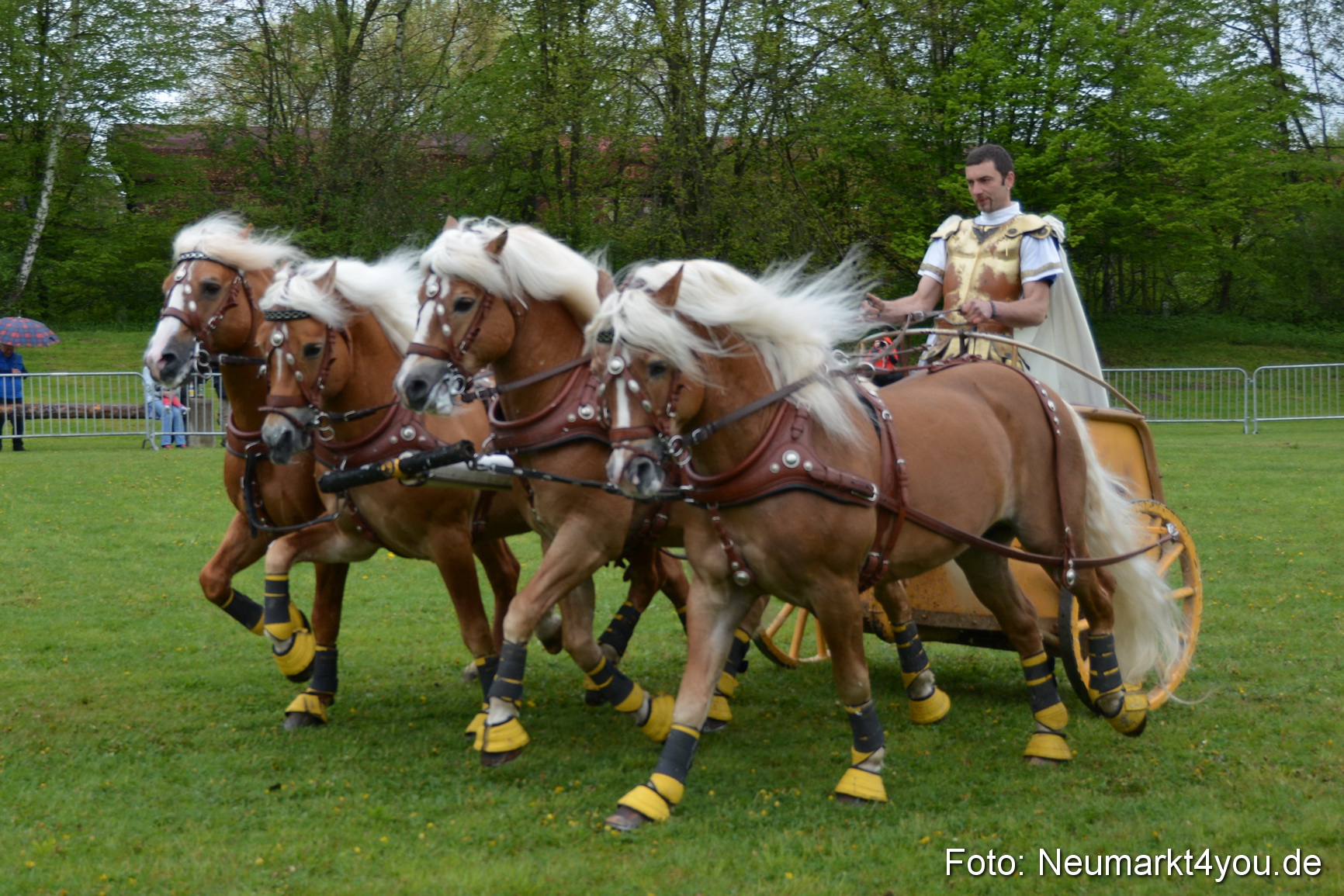 Haflingertreffen Fruehlingsfest 010515 0160