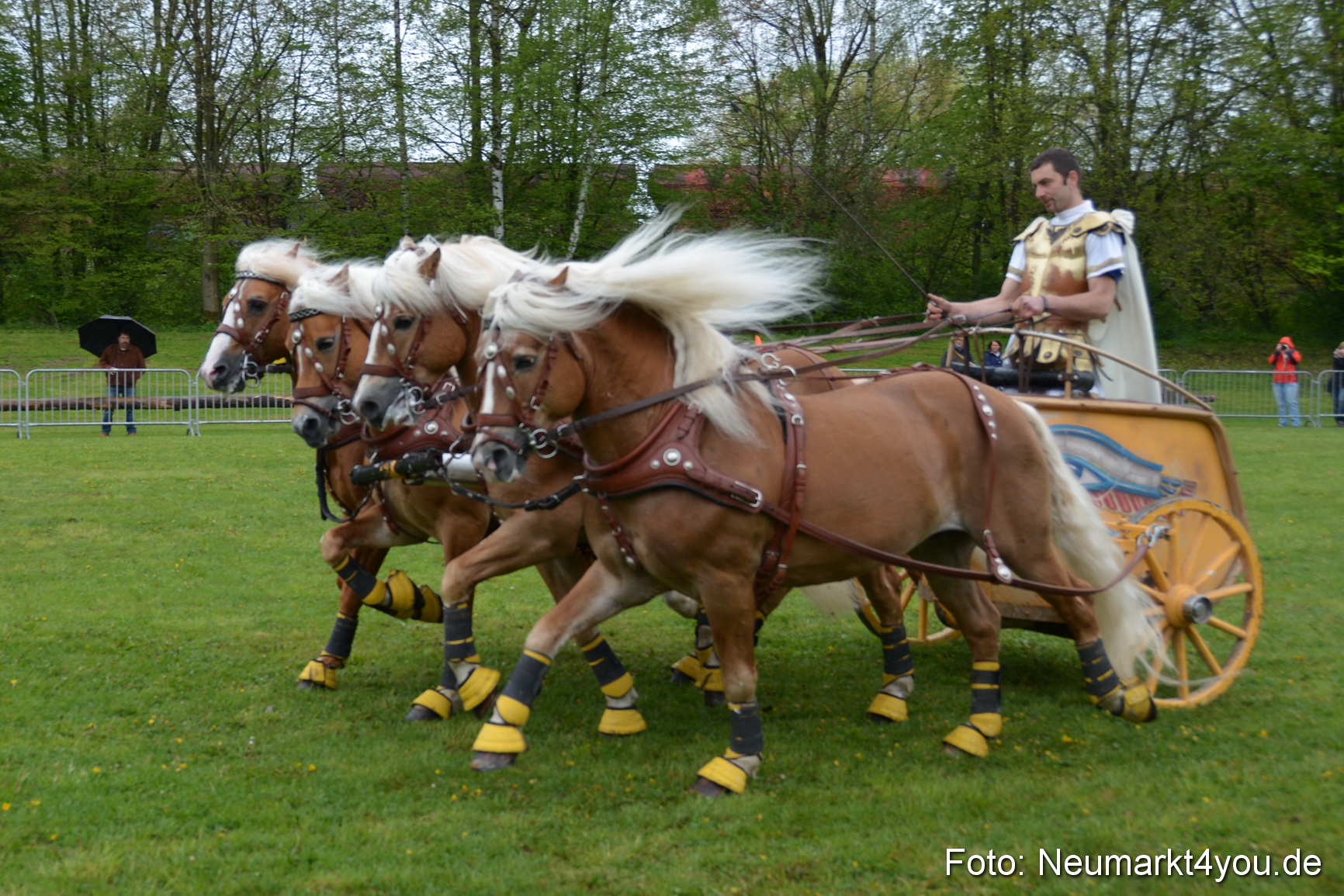 Haflingertreffen Fruehlingsfest 010515 0161