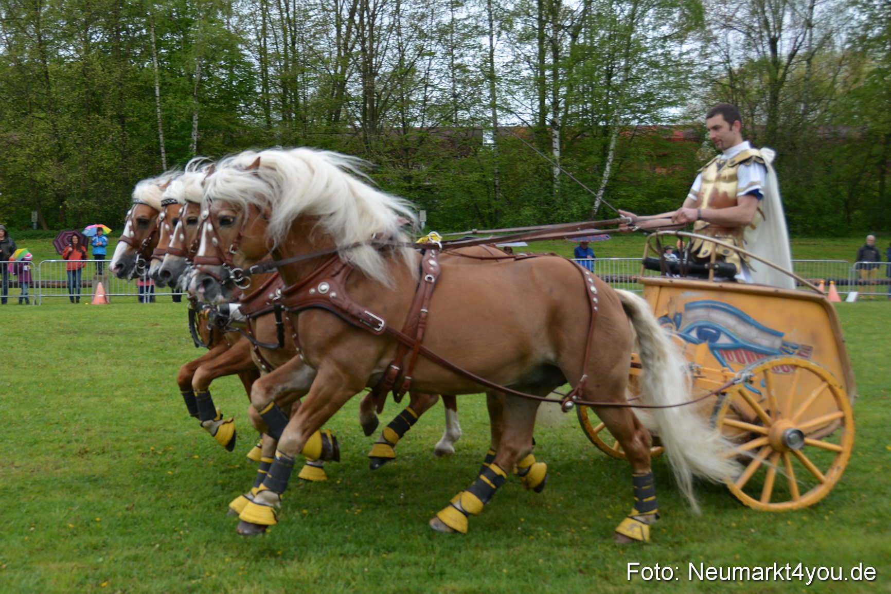 Haflingertreffen Fruehlingsfest 010515 0162