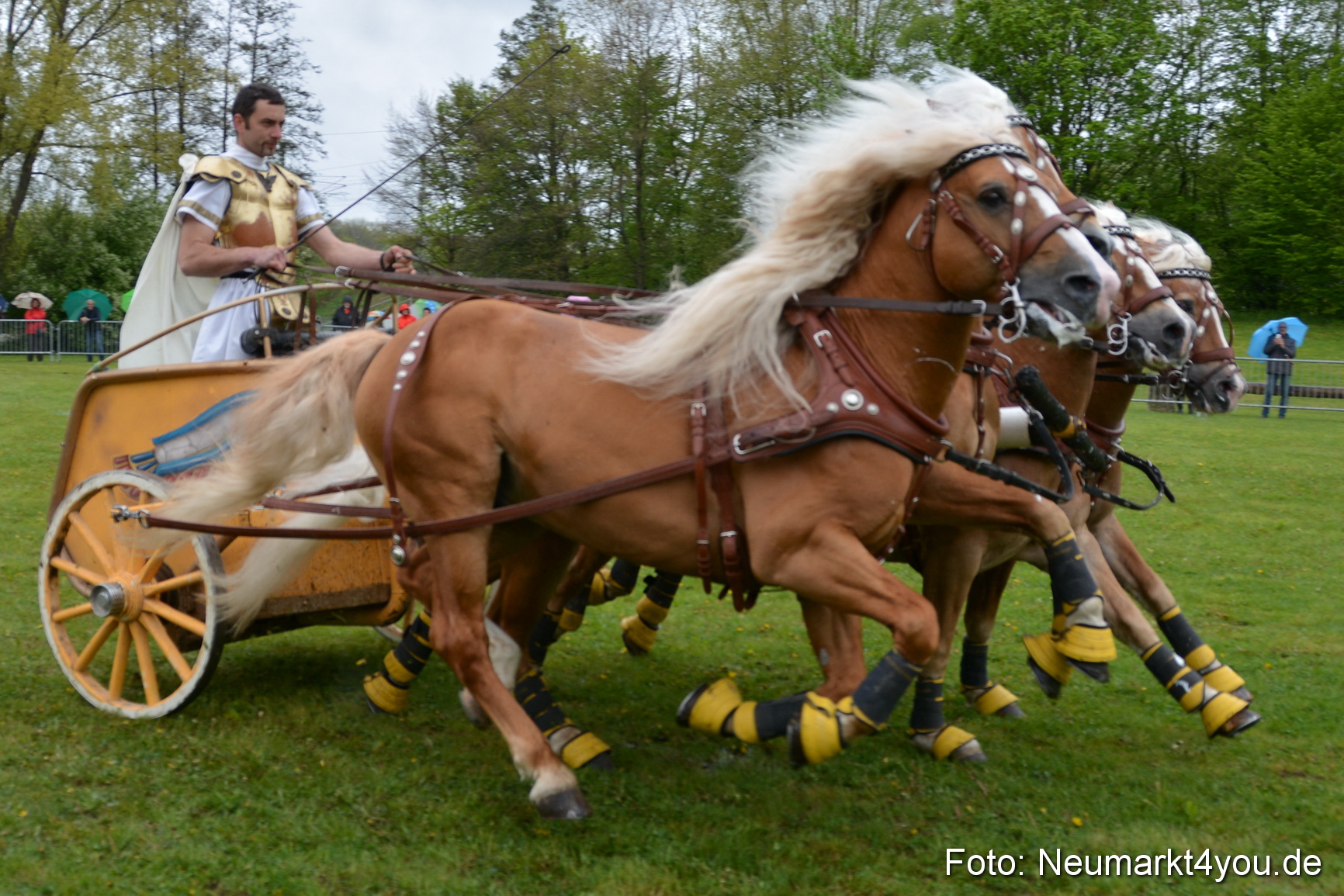 Haflingertreffen Fruehlingsfest 010515 0172
