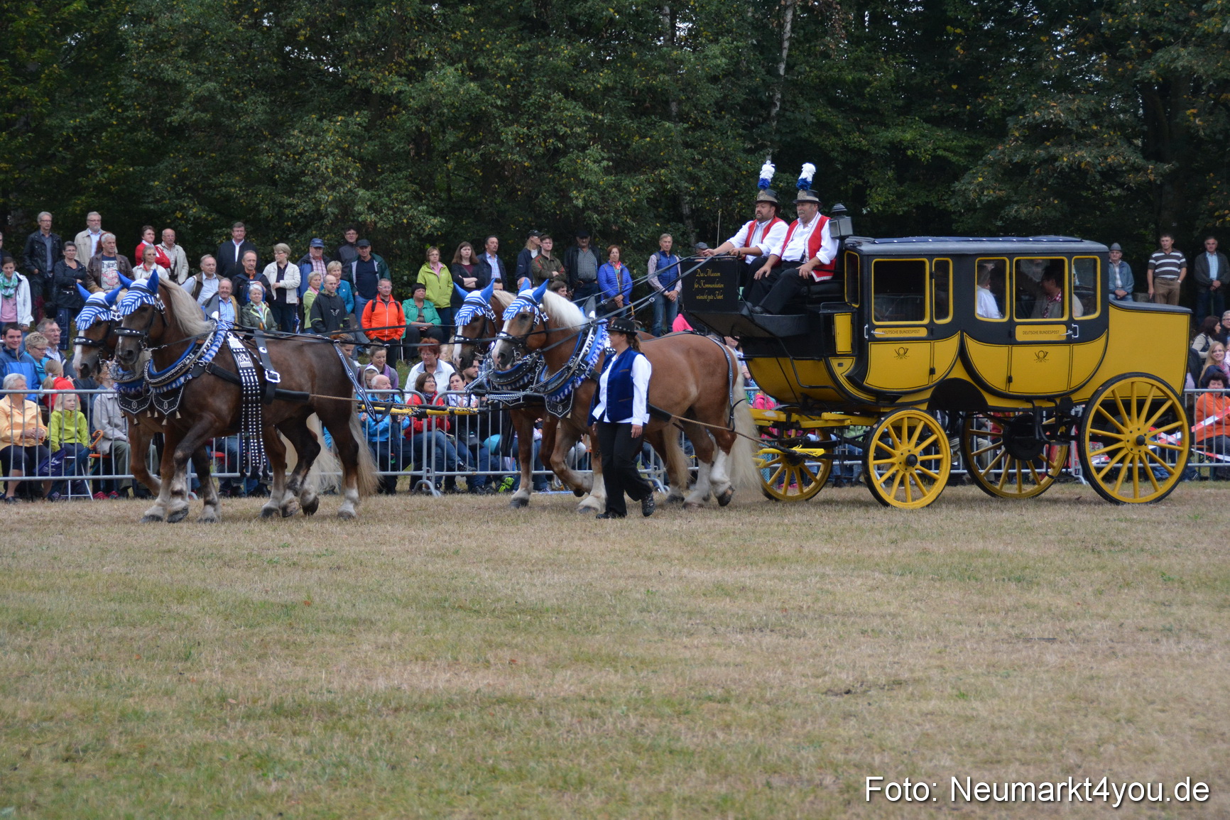 Pferde und Fohlenschau 170815 0002