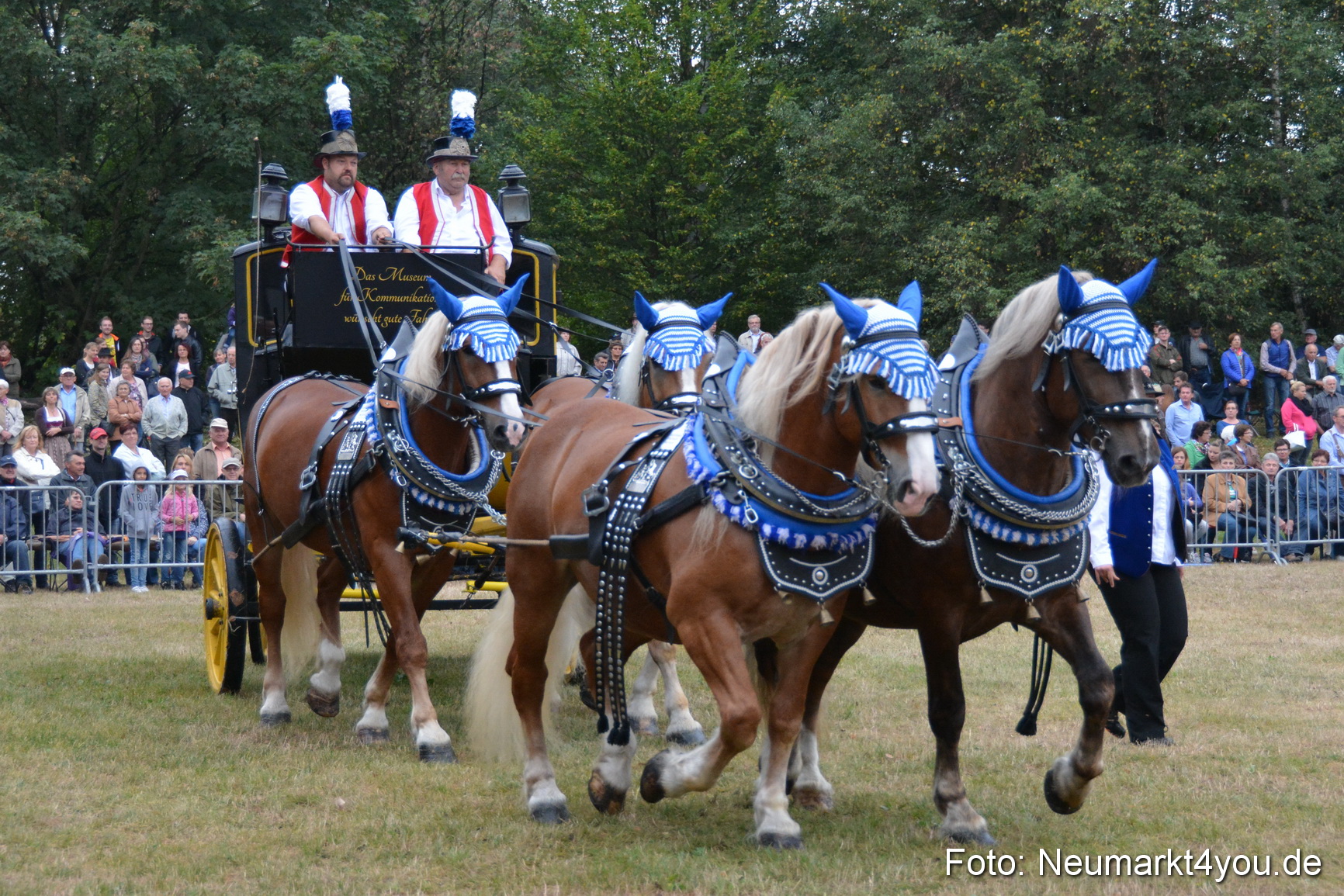 Pferde und Fohlenschau 170815 0003