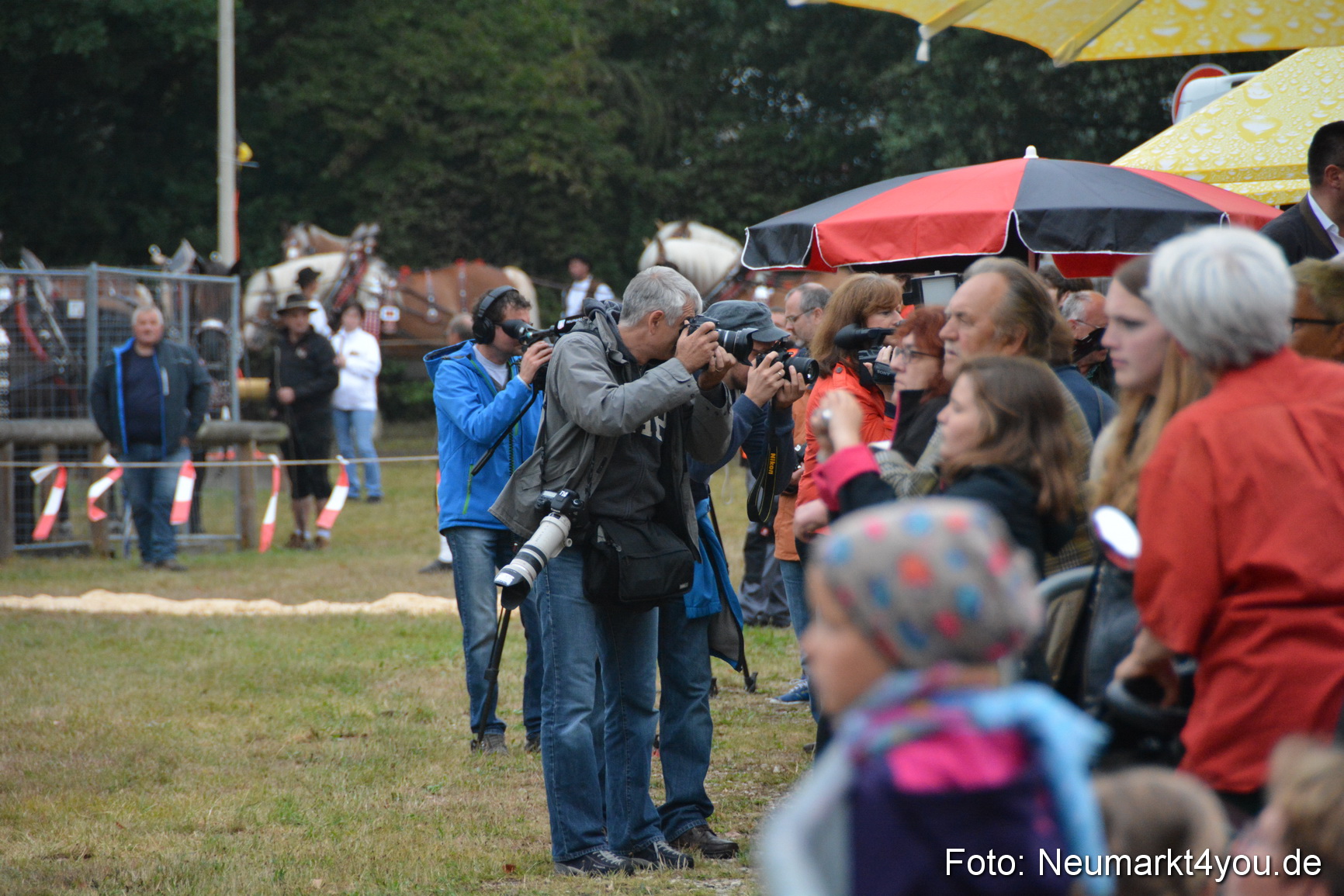 Pferde und Fohlenschau 170815 0006