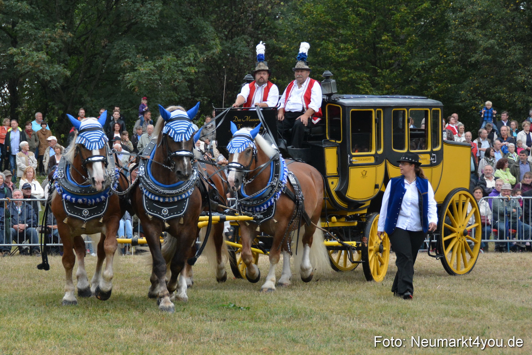 Pferde und Fohlenschau 170815 0007