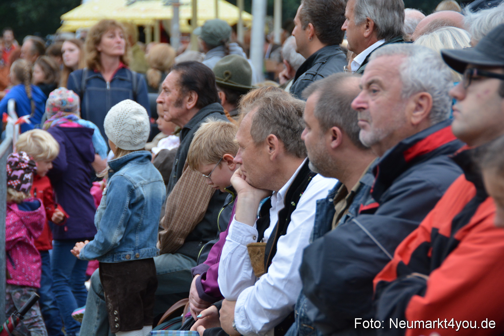 Pferde und Fohlenschau 170815 0010