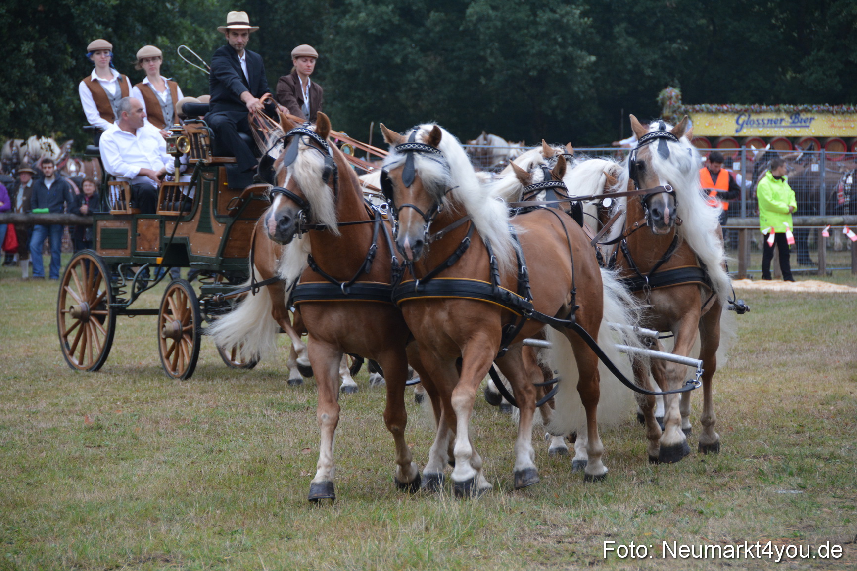 Pferde und Fohlenschau 170815 0033