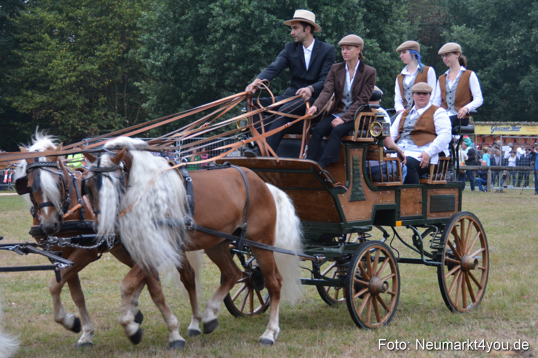 Pferde und Fohlenschau 170815 0034