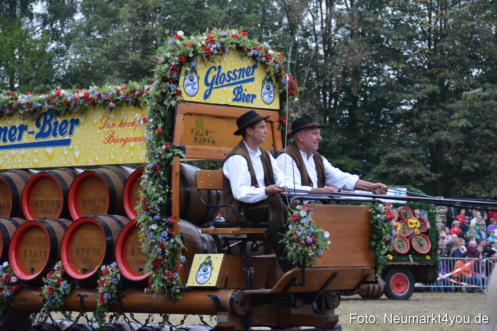 Pferde und Fohlenschau 170815 0044