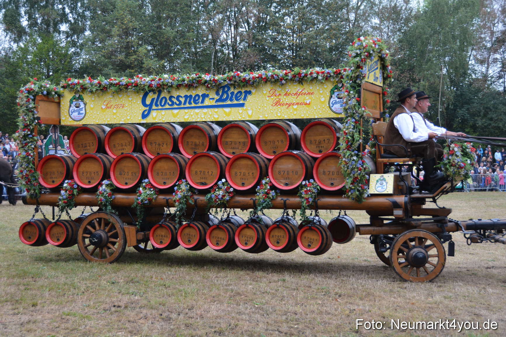 Pferde und Fohlenschau 170815 0045