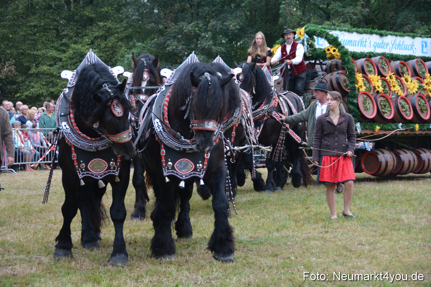 Pferde und Fohlenschau 170815 0047