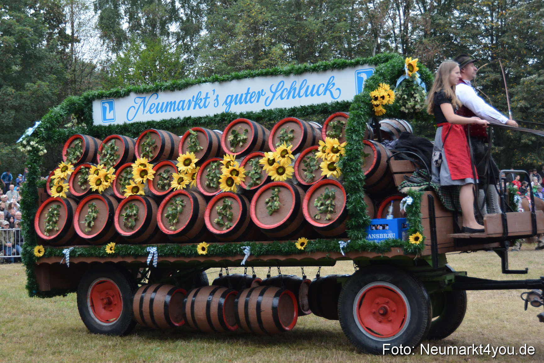 Pferde und Fohlenschau 170815 0050
