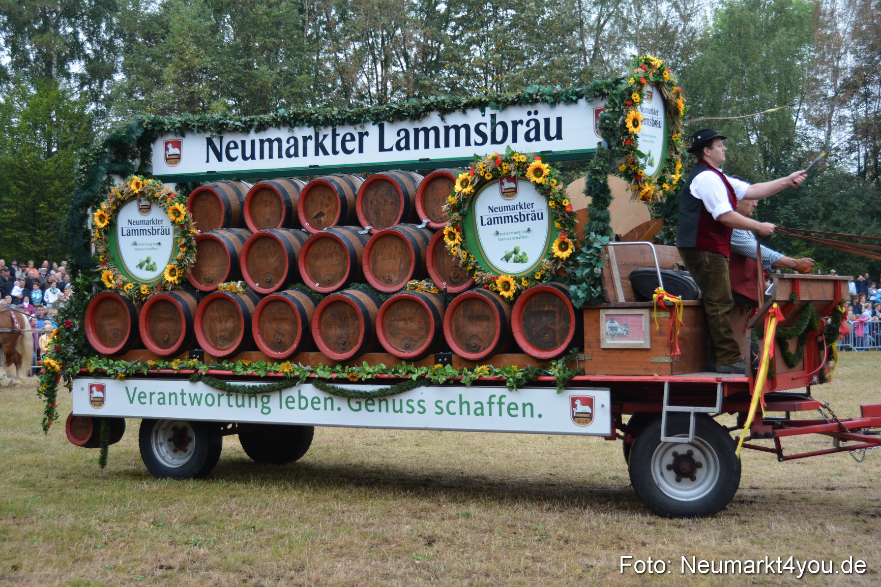Pferde und Fohlenschau 170815 0056