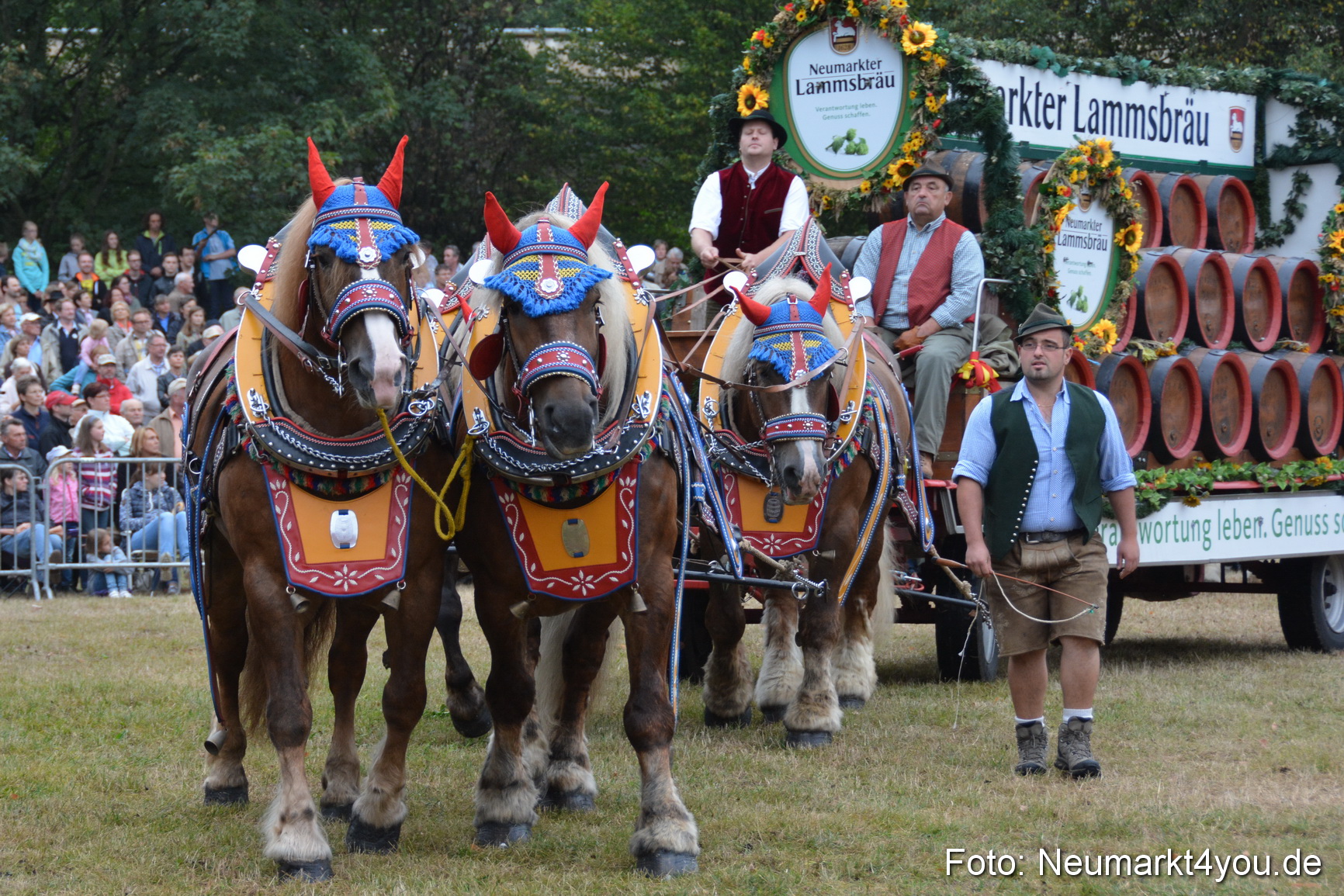 Pferde und Fohlenschau 170815 0062