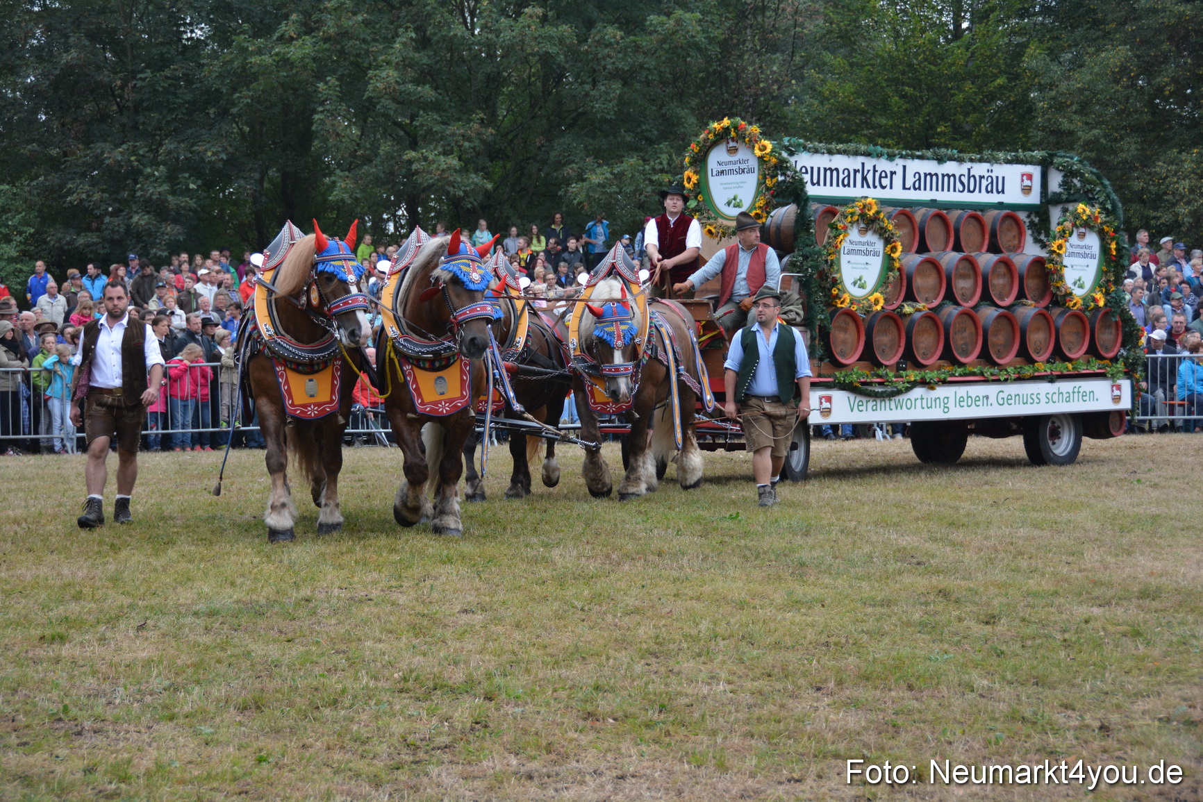 Pferde und Fohlenschau 170815 0071