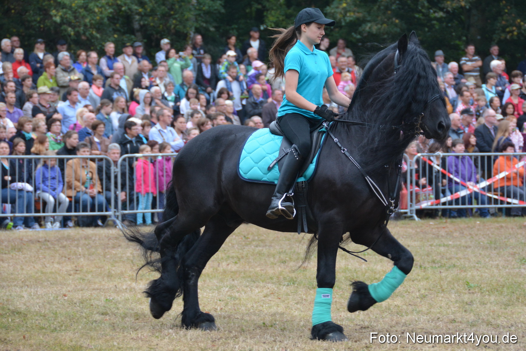 Pferde und Fohlenschau 170815 0073