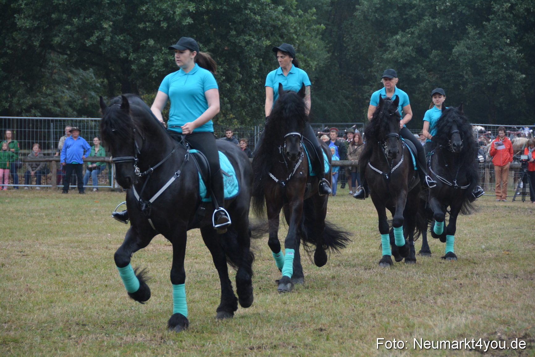 Pferde und Fohlenschau 170815 0076